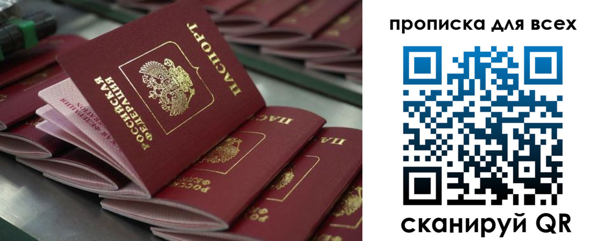 найти адрес прописки в Братске
