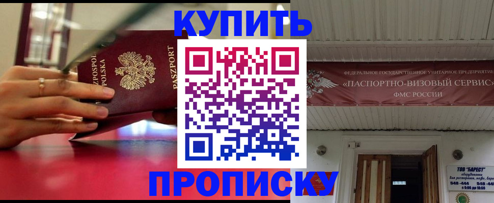 прописка 2025 в Братске